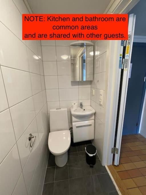 Lillehammer Guest House With Common Bath And Kitchen エクステリア 写真